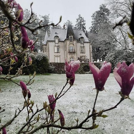 Chateau Maleplane Saint-Léonard-de-Noblat Exterior foto