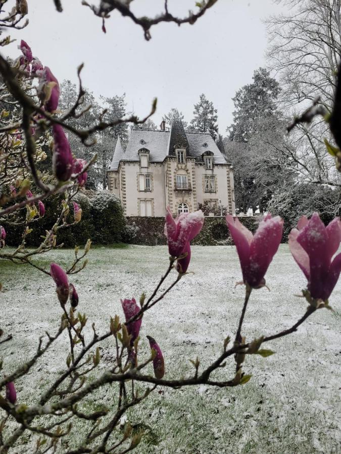 Chateau Maleplane Saint-Léonard-de-Noblat Exterior foto