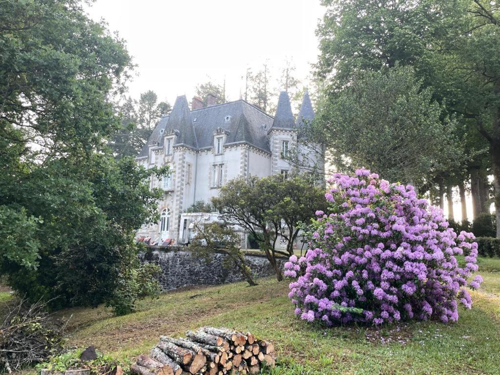 Chateau Maleplane Saint-Léonard-de-Noblat Exterior foto