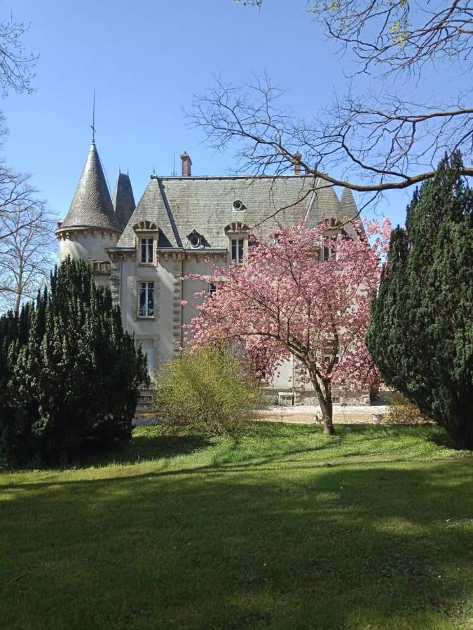 Chateau Maleplane Saint-Léonard-de-Noblat Exterior foto