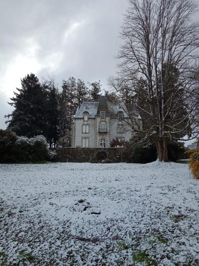 Chateau Maleplane Saint-Léonard-de-Noblat Exterior foto