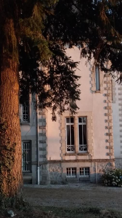Chateau Maleplane Saint-Léonard-de-Noblat Exterior foto