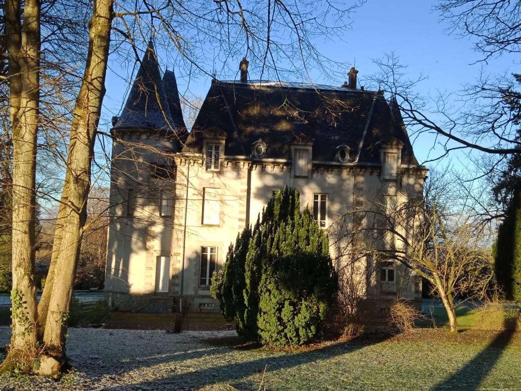 Chateau Maleplane Saint-Léonard-de-Noblat Exterior foto
