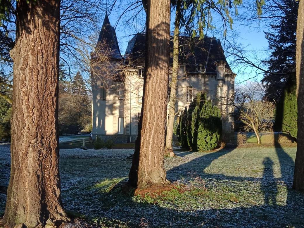 Chateau Maleplane Saint-Léonard-de-Noblat Exterior foto